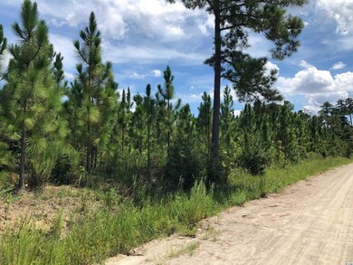 tbd Carriage Dr unit Lot B, Loris, SC 29569 - photo 2