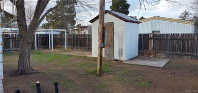 Back Yard Shed