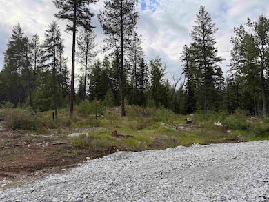 Nkn Veit Rd, Newport, WA 99156 - photo 2