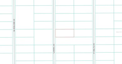 0 TBD SW Tamiami Place, Rainbow Lakes Estates, FL 34431 - photo 3