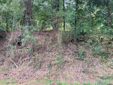 TBD Fm 16, Winona, TX 75792 - photo 3