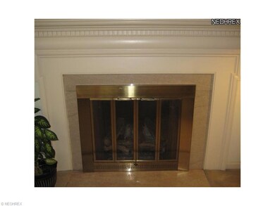 Fireplace detail: Marble surround and hearth. Dent