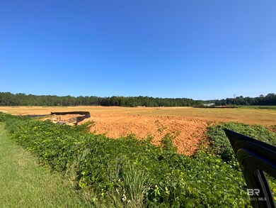 0 St Hwy 59 Hwy unit 1 380398, Bay Minette, AL 36579 - photo 4