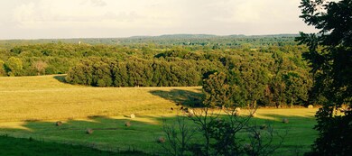 DSC08851
