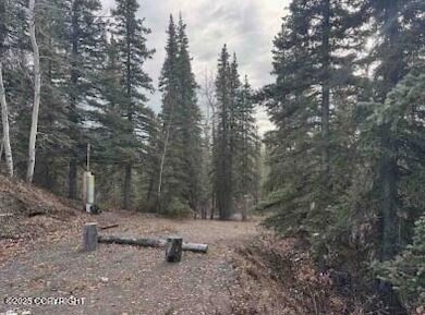 146 Glenn Hwy, Glennallen, AK 99588 - photo 2