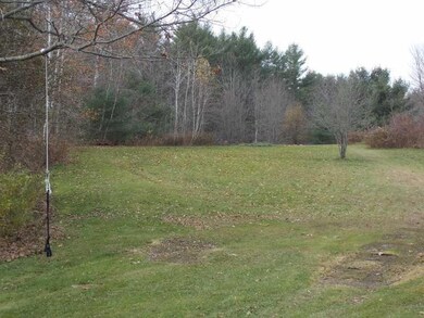 Yard/Garden.