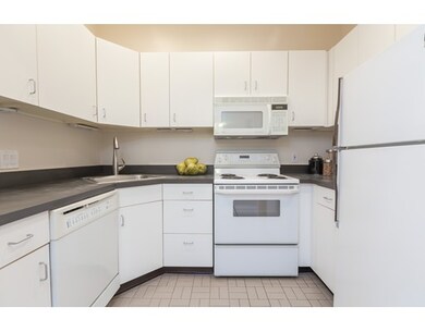 78 W Concord St unit 7, Boston, MA 02118 - photo 4
