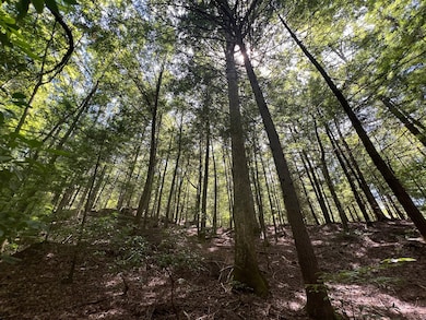 Crockett Rd, Haleyville, AL 35565 - photo 7