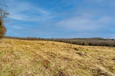 12997 County Road 7160, Rolla, MO 65401 - photo 2