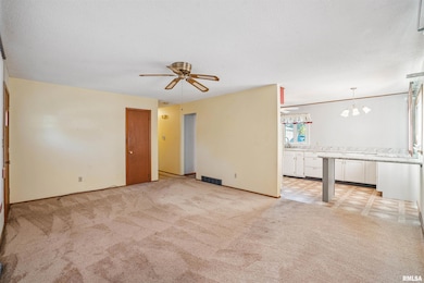 8101 8th St W, Rock Island, IL 61201 - photo 5