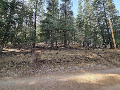 0 Gold Nuggett Alley unit 2 170304, Cloudcroft, NM 88317 - photo 6