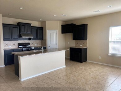 301 Lemon Mint Ln, Denton, TX 76210 - photo 5