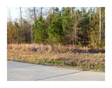 Land/Lot.