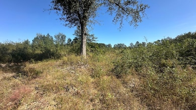 0 Waynesboro Hwy unit 25177409, Sylvania, GA 30467 - photo 6