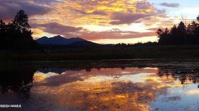 6812 W Soggy Bottom Ranch Rd, Flagstaff, AZ 86001 - photo 6