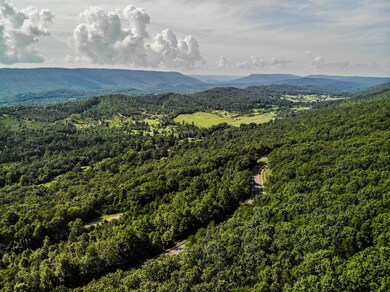 DJI_0210
