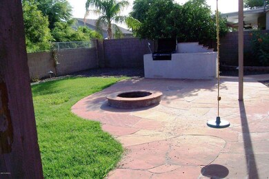Backyard (1)