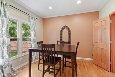 1742 Auburn Ave, Naperville, IL 60565 - photo 6