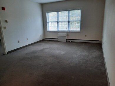 486 Nashua St unit 110, Milford, NH 03055 - photo 6