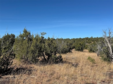158.81 Off B27a, Serafina, NM 87569 - photo 3