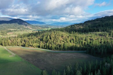 xxx Immel Rd, Chewelah, WA 99109 - photo 3