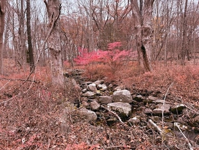 72D Walnut St, Seymour, CT 06483 - photo 3