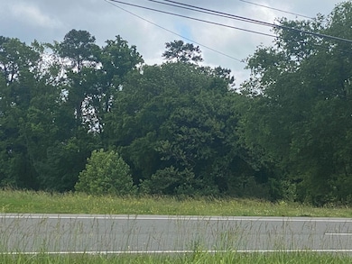 0 Us 15 501 Hwy unit 2451067, Pittsboro, NC 27312 - photo 3