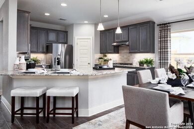 4029 Arena Blanca, San Antonio, TX 78261 - photo 5