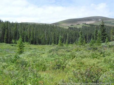 0 Tbd unit S378092, Fairplay, CO 80440 - photo 2