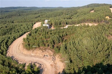 170 Overcup Oak Trail, Broken Bow, OK 74728 - photo 4