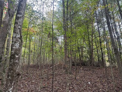 Lot 14 Pine Grove Dr, Epworth, GA 30541 - photo 7