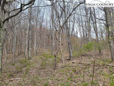 TBD Tract #7, Banner Elk, NC 28604 - photo 7