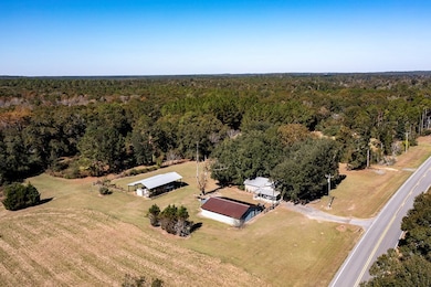 12099 Georgia 93, Baconton, GA 31716 - photo 2