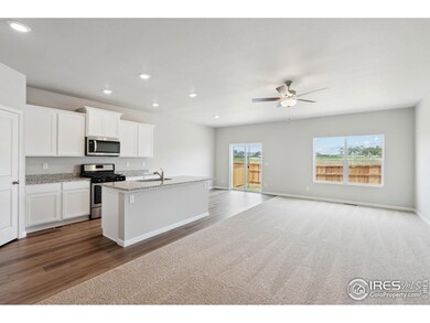 964 Cascade Falls St, Severance, CO 80550 - photo 4