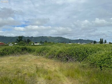 1 Springer St unit 1-4, Puget Island, WA 98612 - photo 2