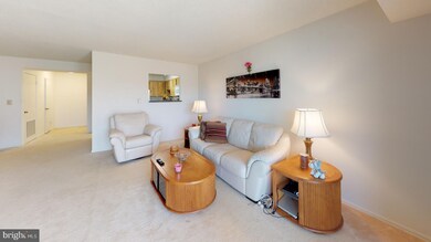 5901 Mount Eagle Dr unit 507, Alexandria, VA 22303 - photo 5