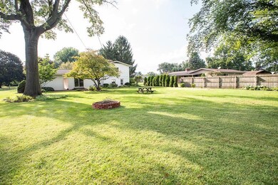 total view back yard