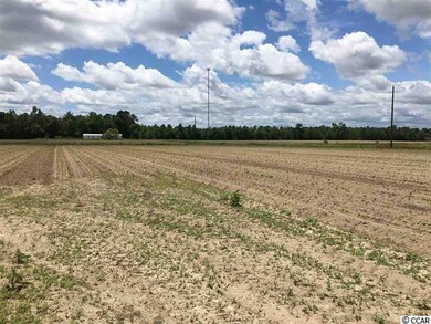 2.8 W Highway 19, Loris, SC 29569 - photo 7