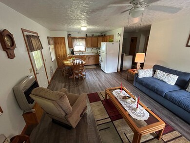 674 Laurel Fork Rd, Webster Springs, WV 26288 - photo 5