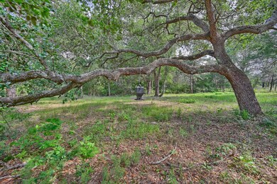 17718 Tranquil Ln, Cat Spring, TX 78933 - photo 5