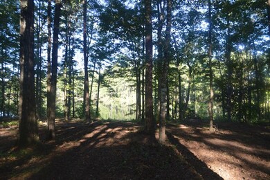 152 Strickland Rd, Attapulgus, GA 39815 - photo 7