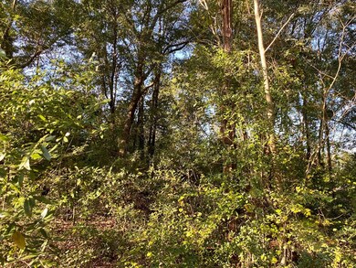 LOVELY WOODED!!