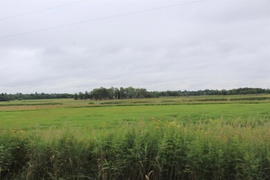 TBD 310th St, Little Elk Township, MN 56438 - photo 2