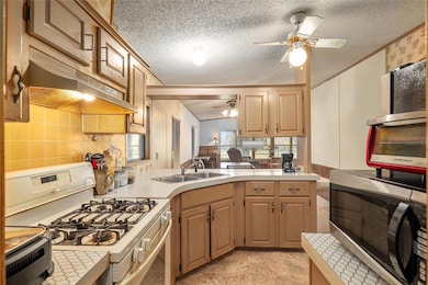 18015 NE 143rd Ave, Waldo, FL 32694 - photo 4