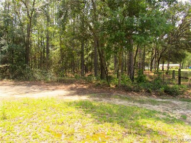 0000 SE 73rd Place, Morriston, FL 32668 - photo 2
