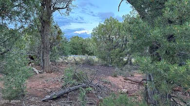 Mature Juniper