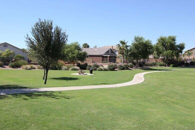 Common Area Behind Home