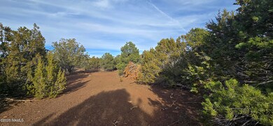 2393 E Starry Night Way unit 15, Williams, AZ 86046 - photo 5