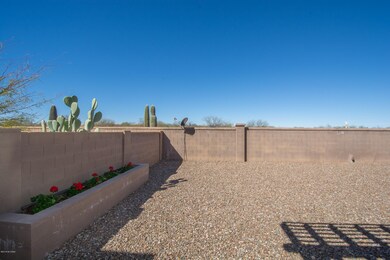 Great big backyard