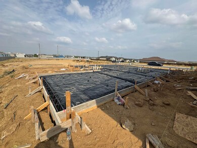 2818 Adamsville Dr, Laredo, TX 78046 - photo 7